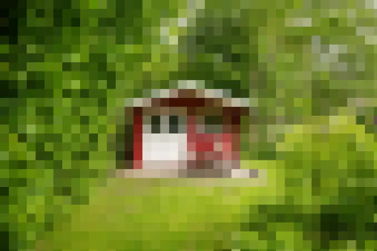 het Lijne Pad 8 Everdingen thumbnail 45