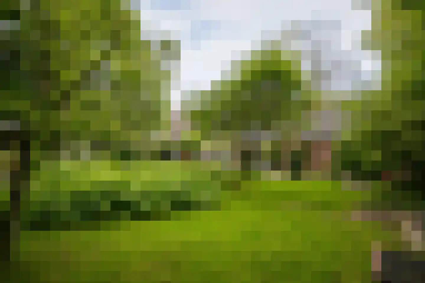het Lijne Pad 8 Everdingen thumbnail 46