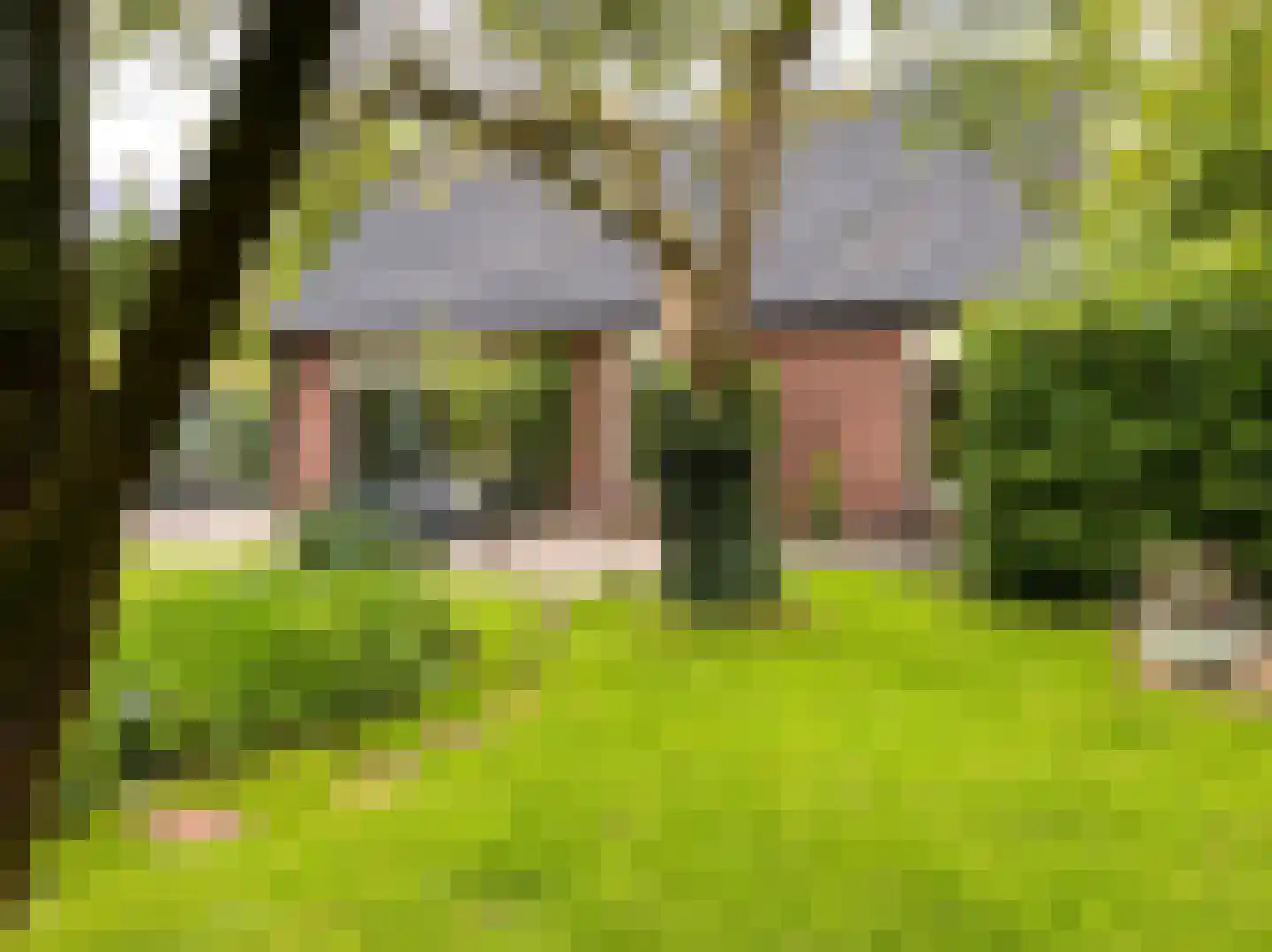 het Lijne Pad 8 Everdingen thumbnail 50