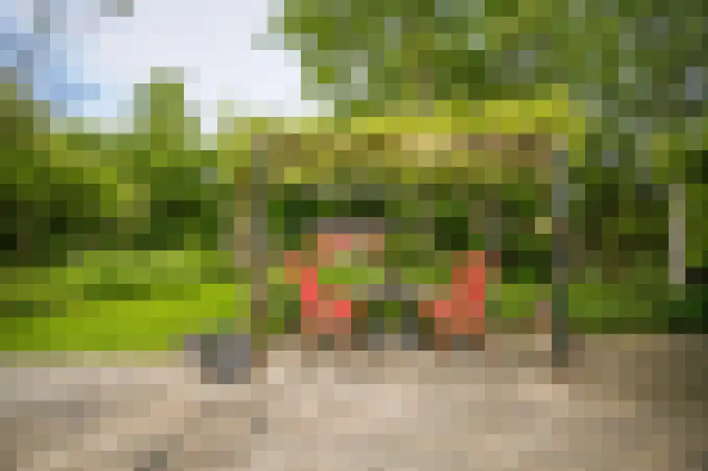 het Lijne Pad 8 Everdingen thumbnail 51