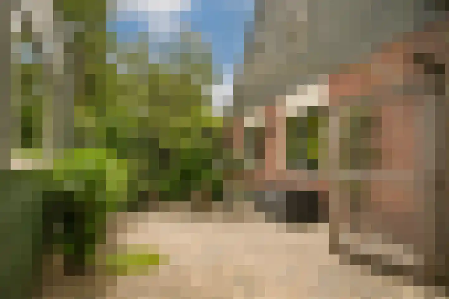 het Lijne Pad 8 Everdingen thumbnail 52