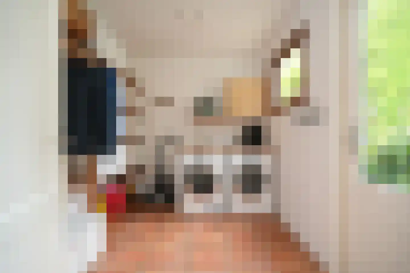 het Lijne Pad 8 Everdingen thumbnail 56
