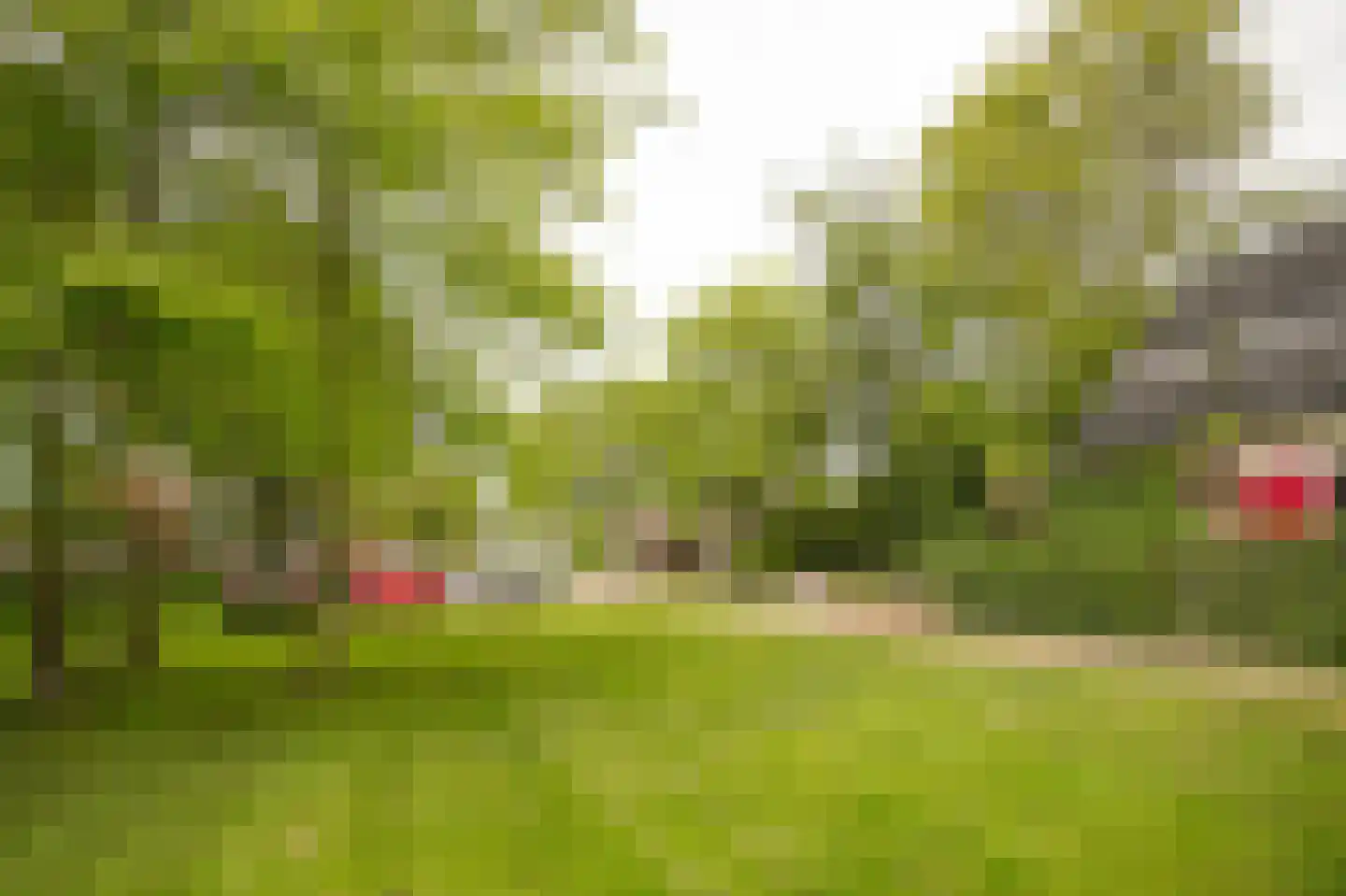 het Lijne Pad 8 Everdingen thumbnail 64