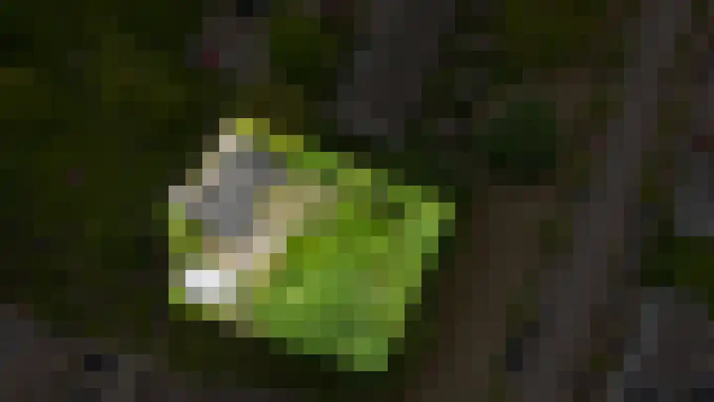 het Lijne Pad 8 Everdingen thumbnail 66