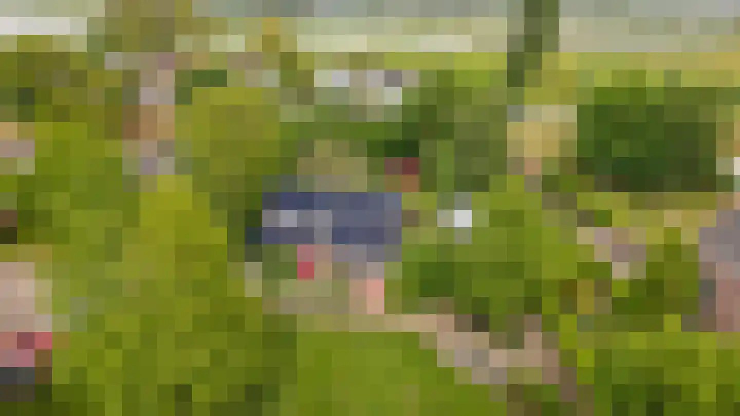 het Lijne Pad 8 Everdingen thumbnail 67