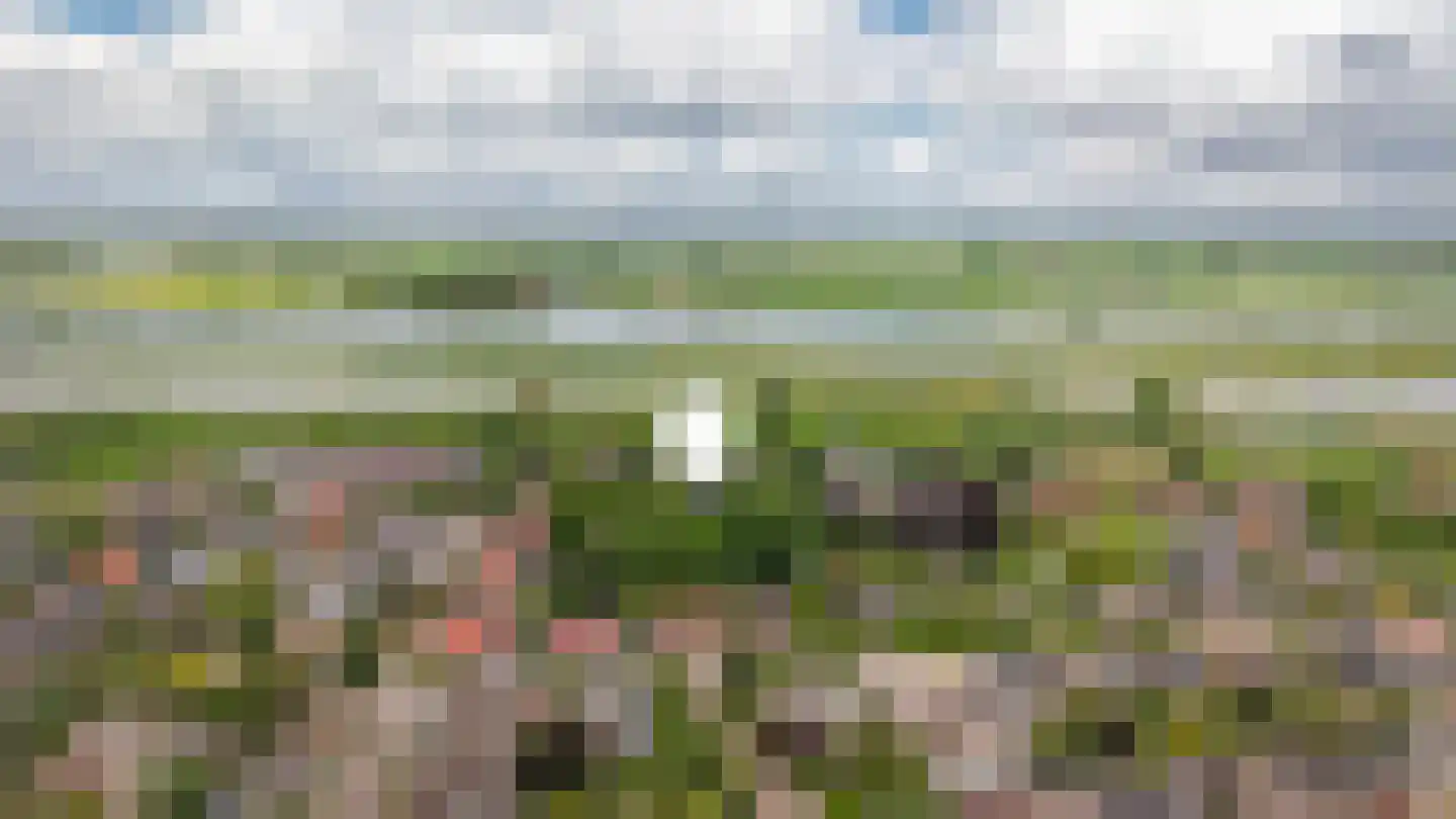 het Lijne Pad 8 Everdingen thumbnail 69