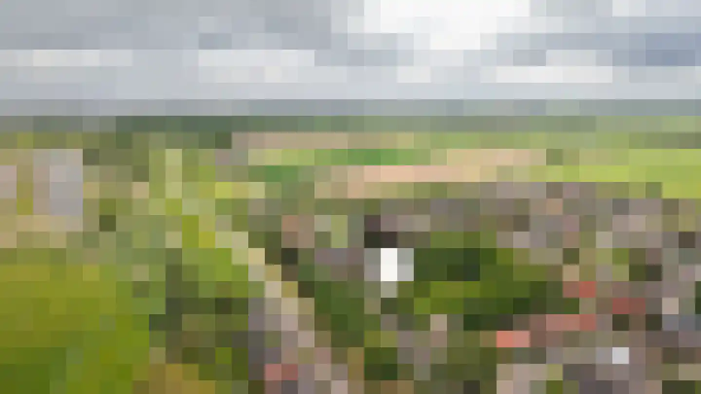 het Lijne Pad 8 Everdingen thumbnail 70