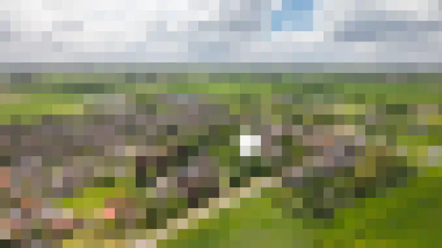 het Lijne Pad 8 Everdingen thumbnail 71