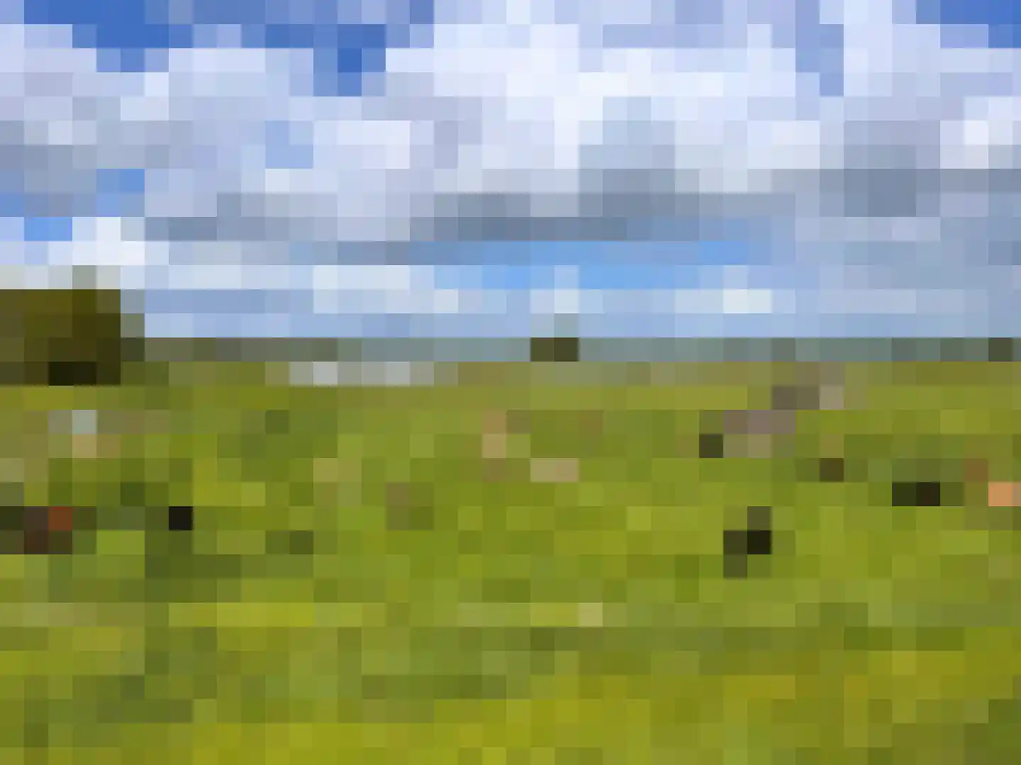 het Lijne Pad 8 Everdingen thumbnail 73