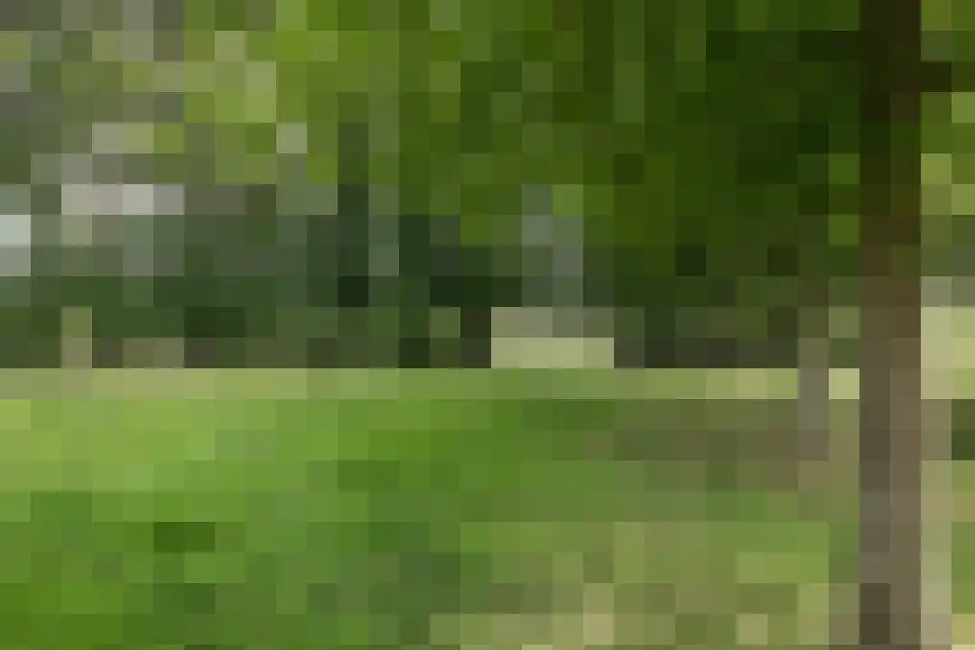 Het Linschot 1 Bornerbroek thumbnail 21