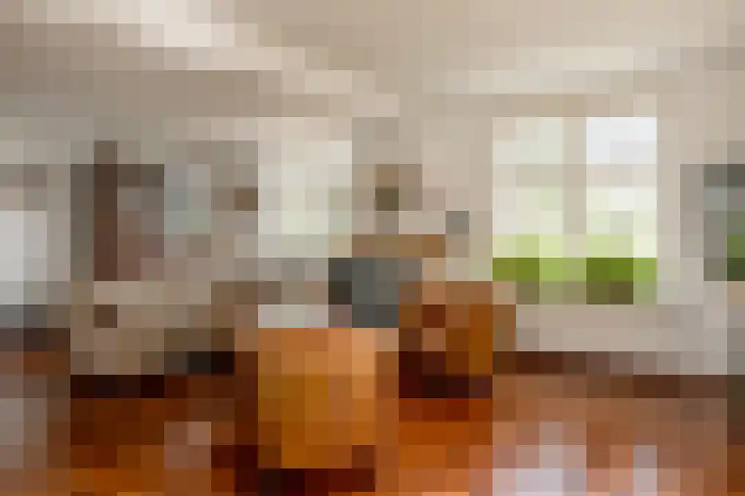 Het Linschot 1 Bornerbroek thumbnail 25