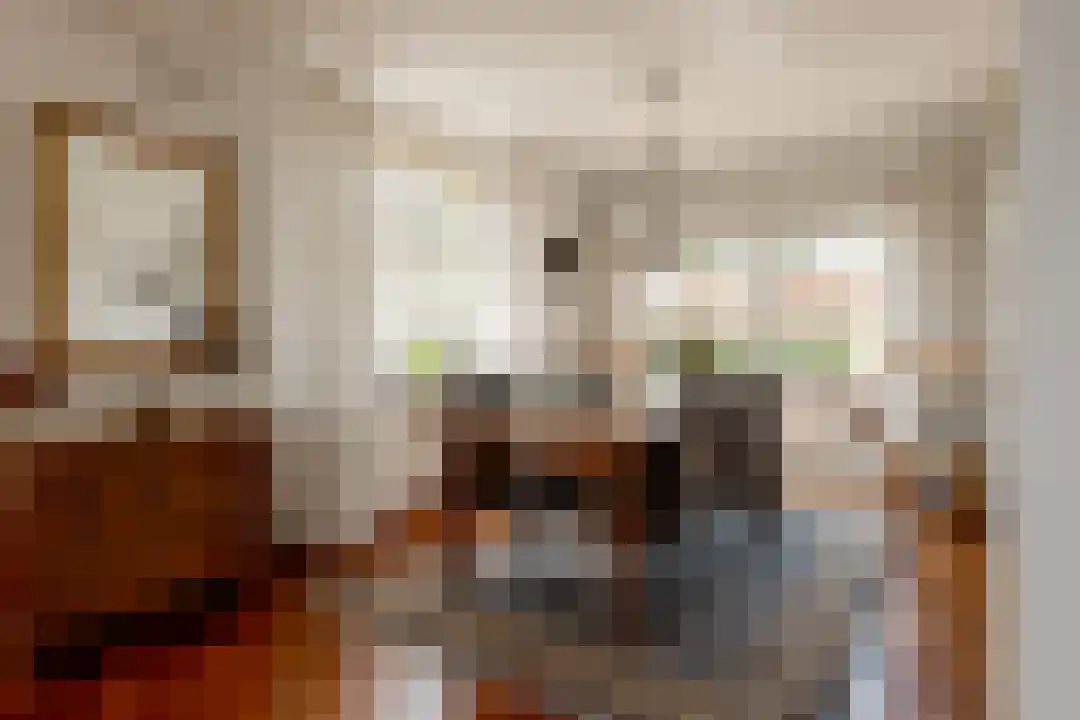 Het Linschot 1 Bornerbroek thumbnail 28