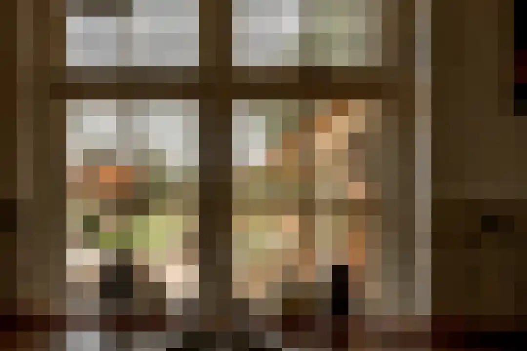 Het Linschot 1 Bornerbroek thumbnail 31