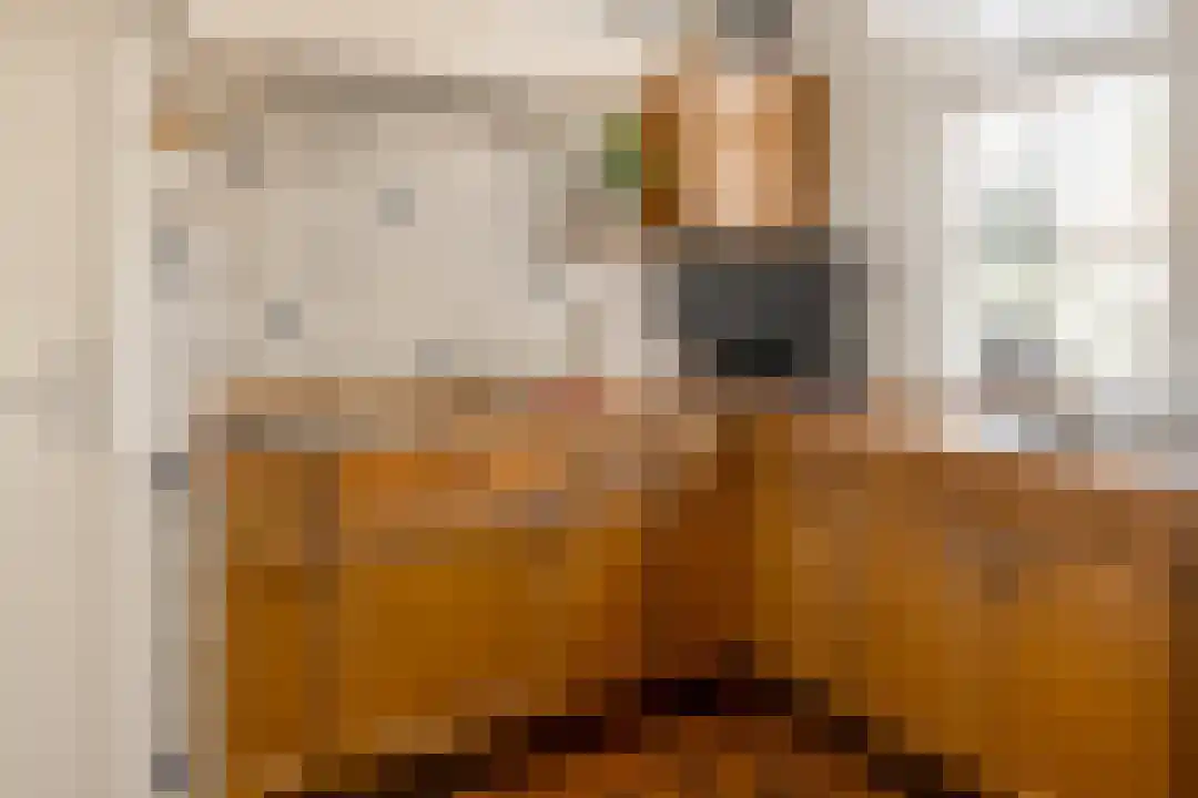 Het Linschot 1 Bornerbroek thumbnail 32