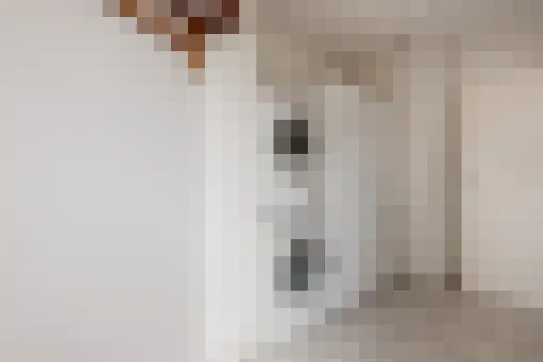 Het Linschot 1 Bornerbroek thumbnail 33