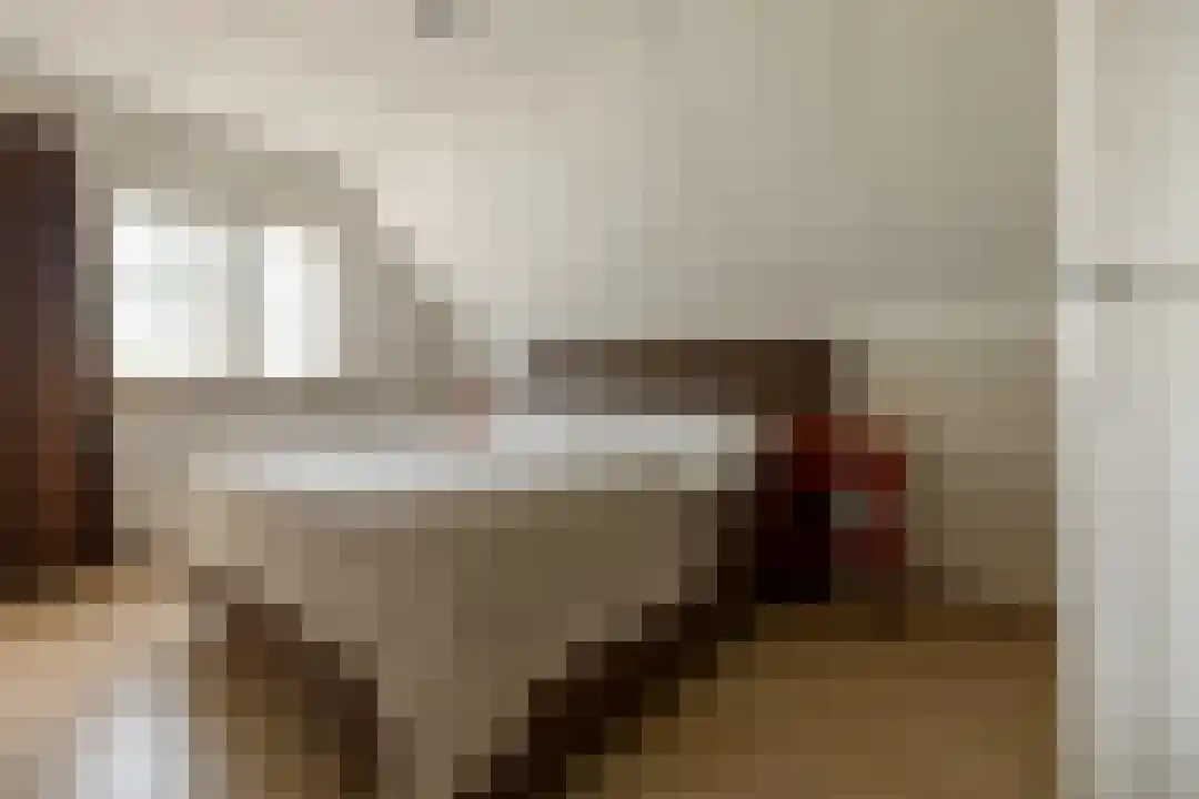 Het Linschot 1 Bornerbroek thumbnail 36