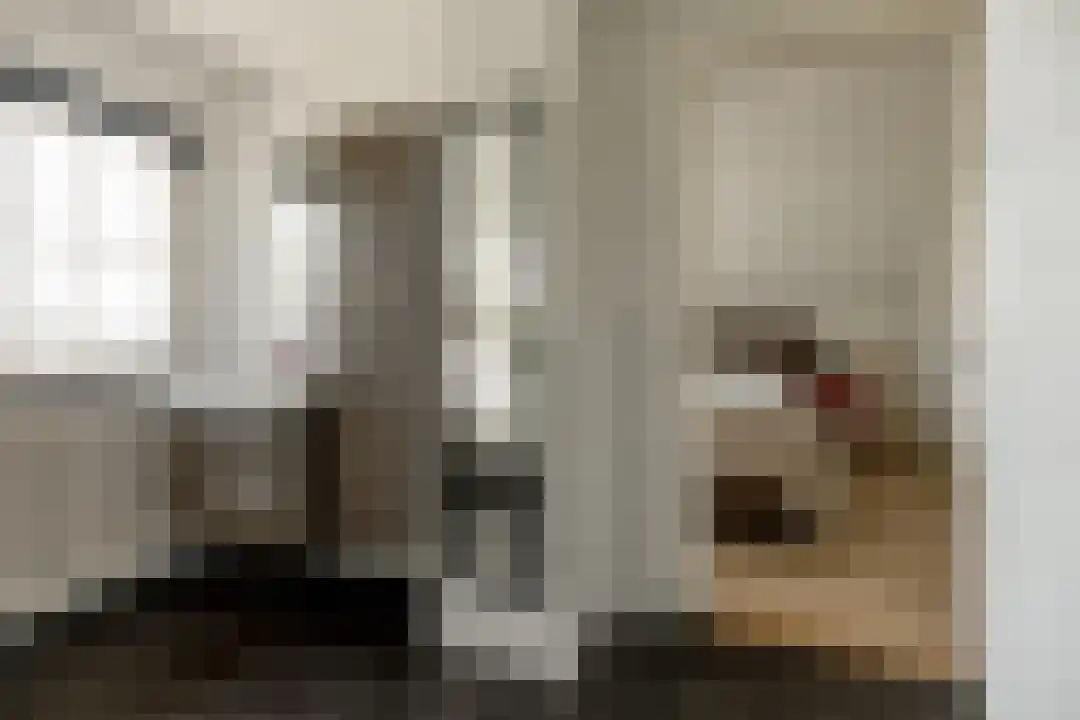 Het Linschot 1 Bornerbroek thumbnail 37