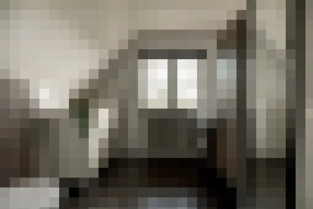 Het Linschot 1 Bornerbroek thumbnail 38