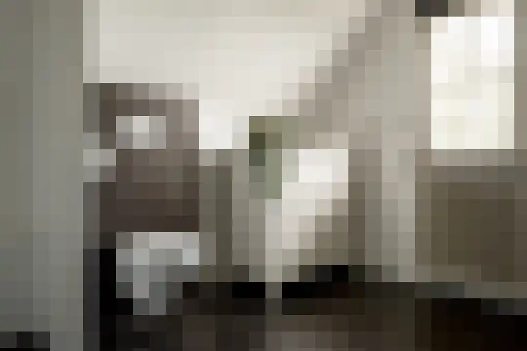 Het Linschot 1 Bornerbroek thumbnail 39