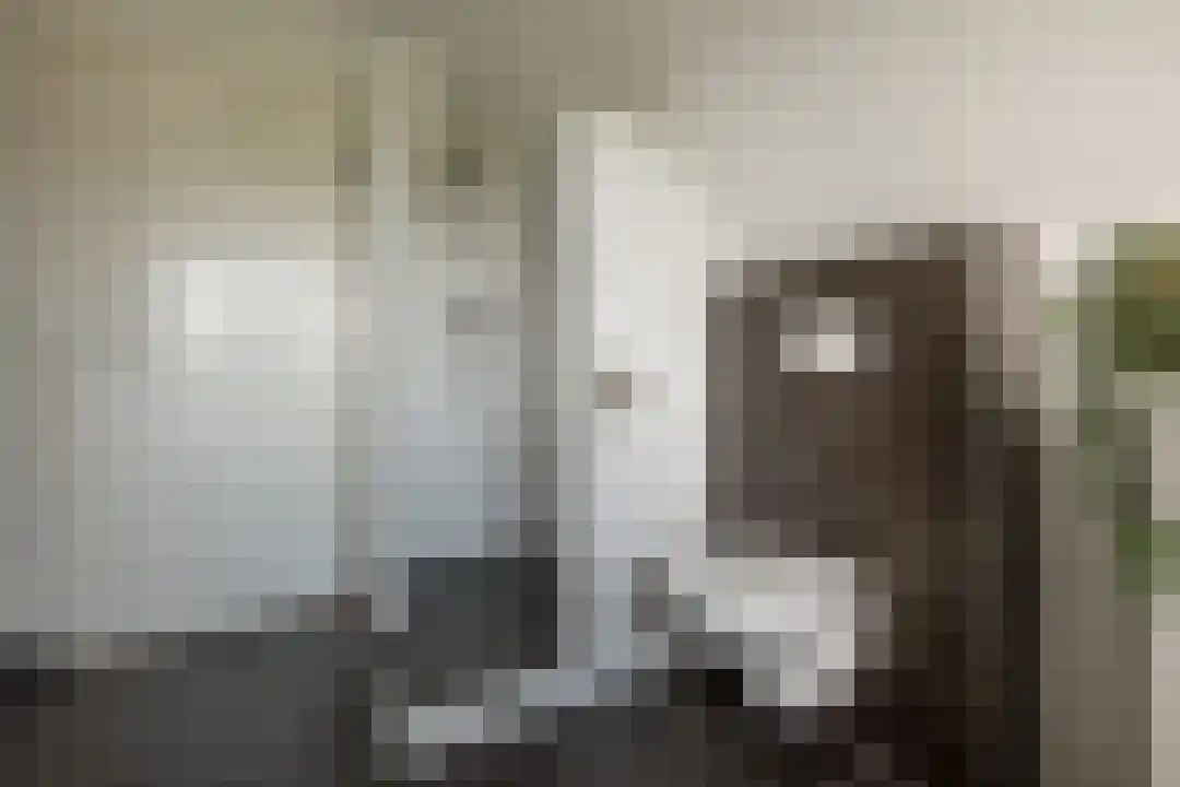 Het Linschot 1 Bornerbroek thumbnail 40