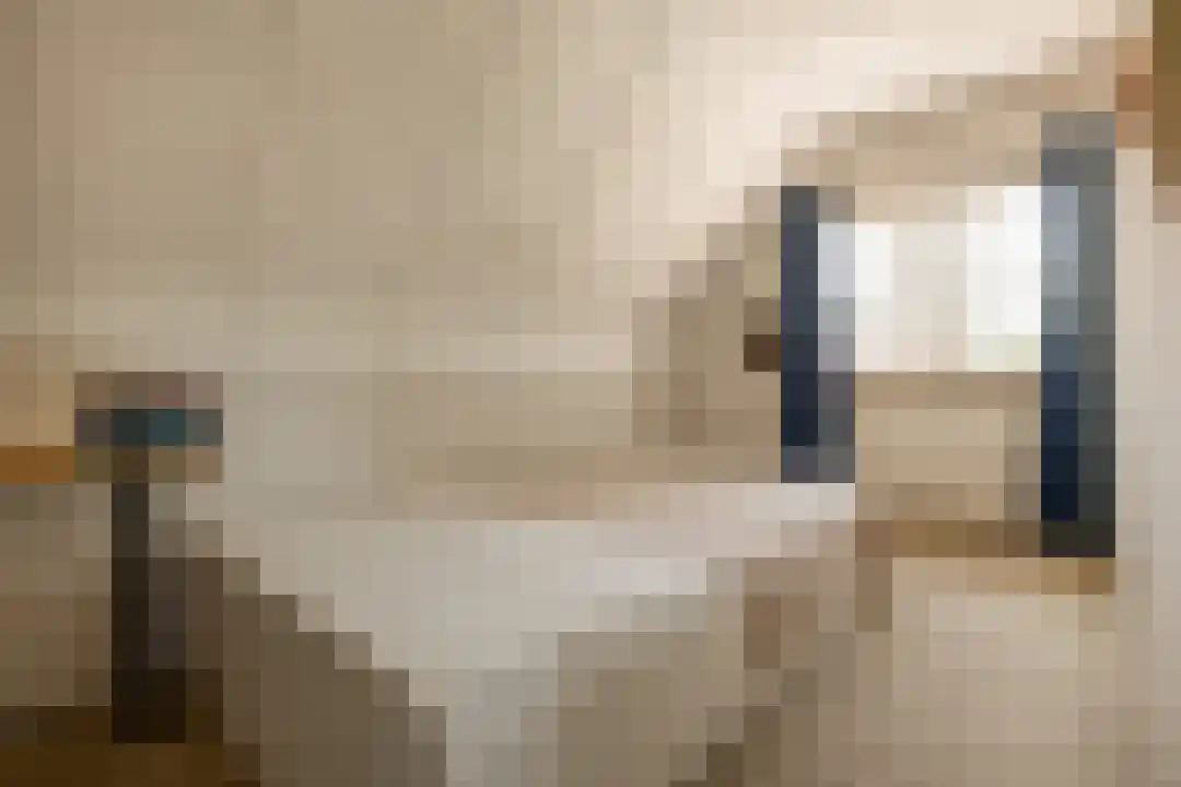 Het Linschot 1 Bornerbroek thumbnail 41