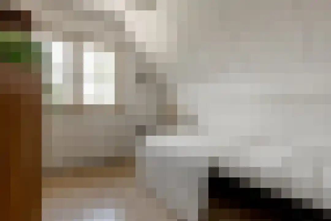 Het Linschot 1 Bornerbroek thumbnail 42