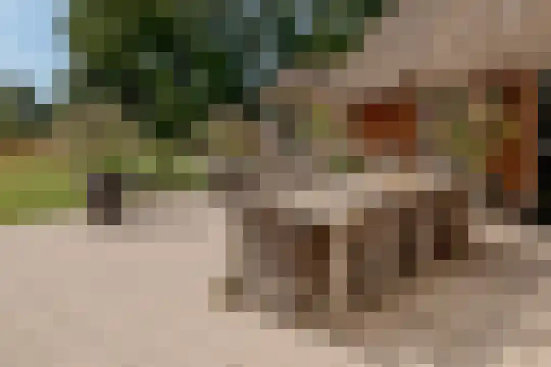 Het Linschot 1 Bornerbroek thumbnail 43