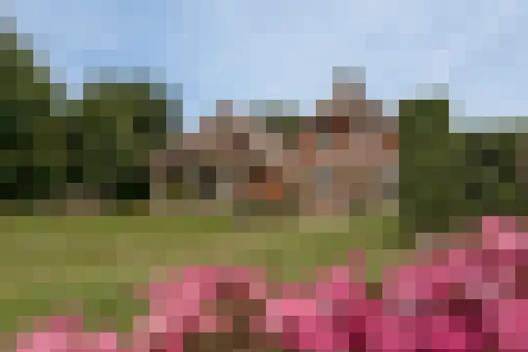 Het Linschot 1 Bornerbroek thumbnail 44