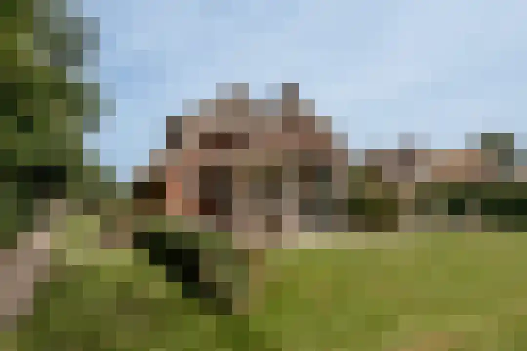 Het Linschot 1 Bornerbroek thumbnail 45