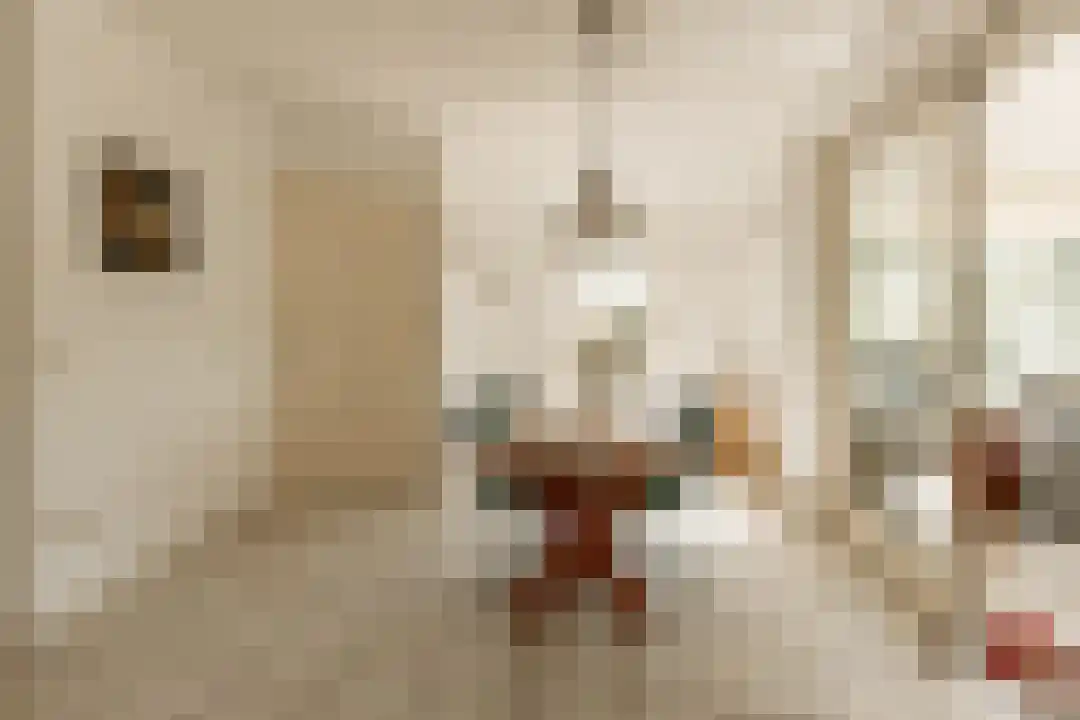 Het Linschot 1 Bornerbroek thumbnail 49