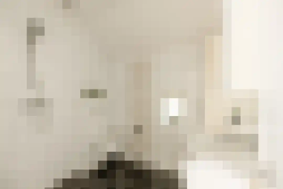 Het Linschot 1 Bornerbroek thumbnail 52