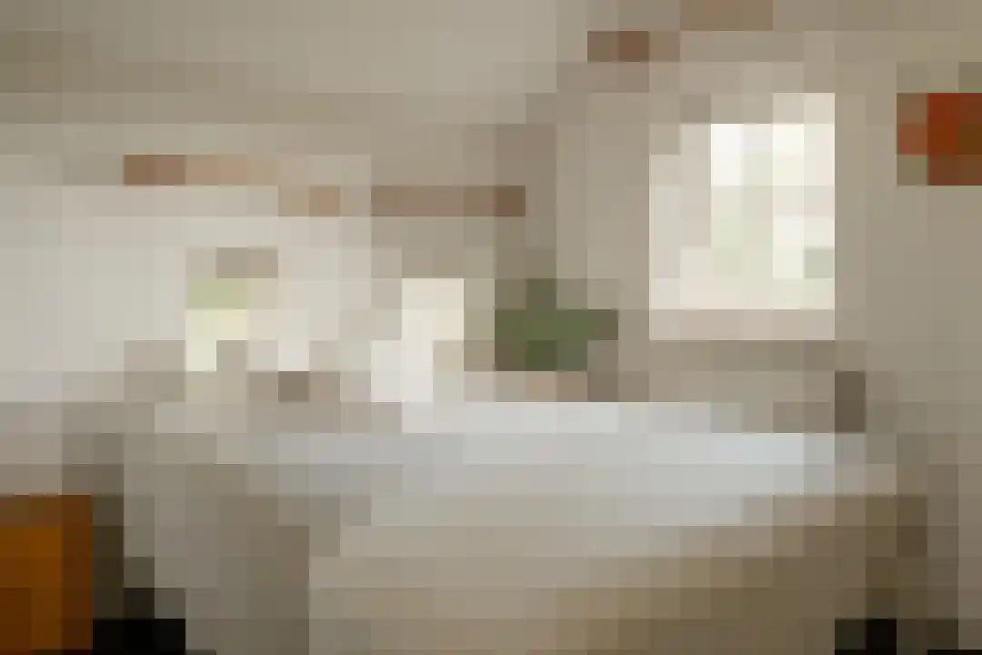 Het Linschot 1 Bornerbroek thumbnail 53