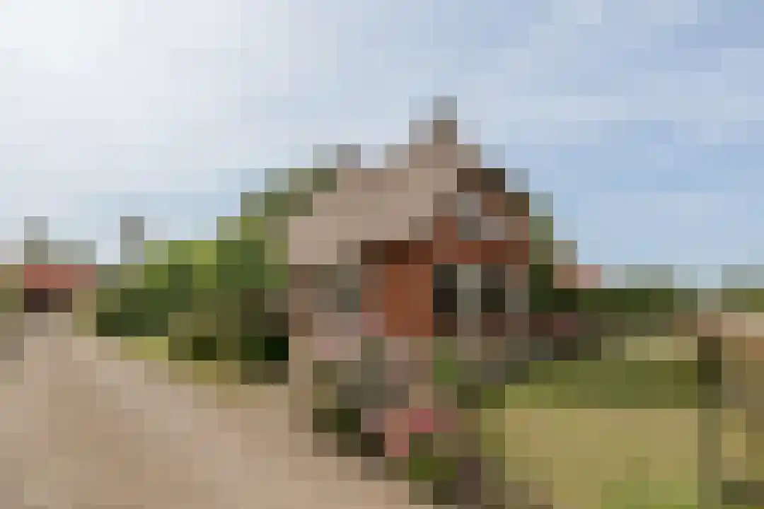 Het Linschot 1 Bornerbroek thumbnail 7