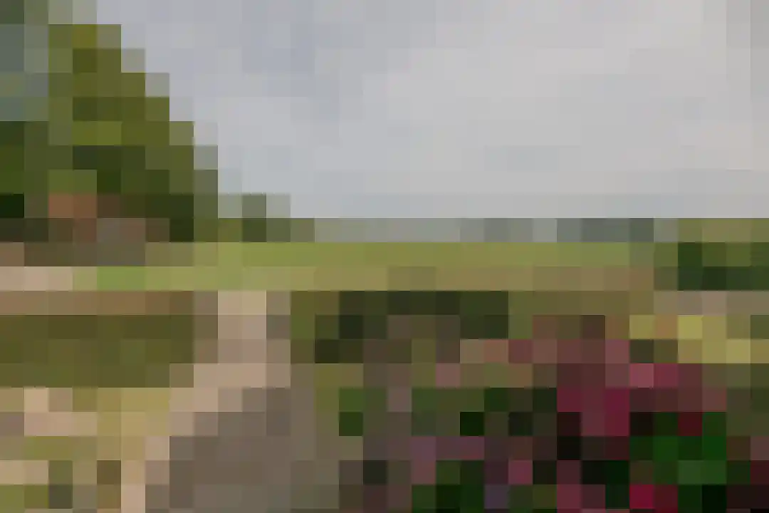 Het Linschot 1 Bornerbroek thumbnail 9