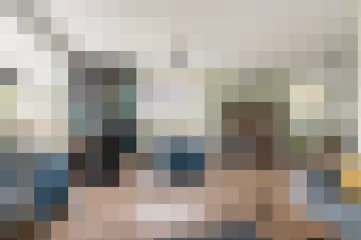 Het Lint 13 Tholen thumbnail 11