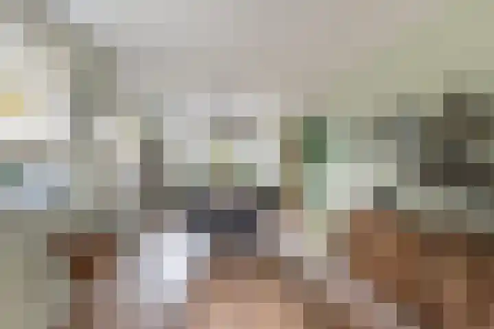 Het Lint 13 Tholen thumbnail 12