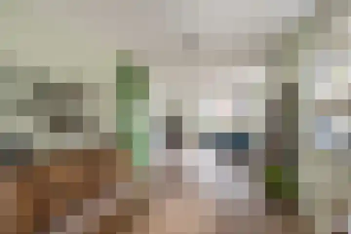 Het Lint 13 Tholen thumbnail 13