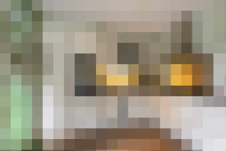 Het Lint 13 Tholen thumbnail 14