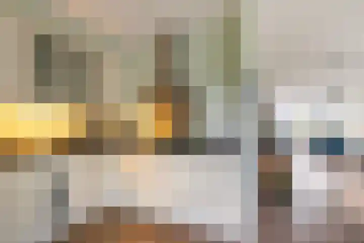 Het Lint 13 Tholen thumbnail 15