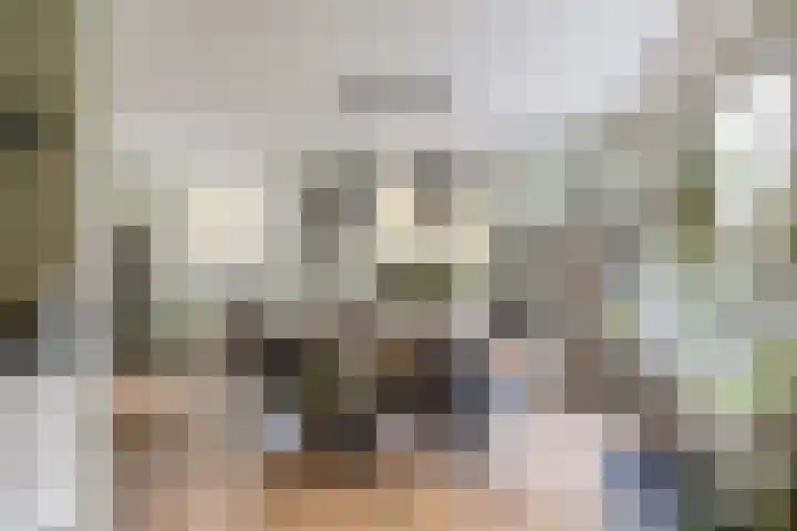 Het Lint 13 Tholen thumbnail 16
