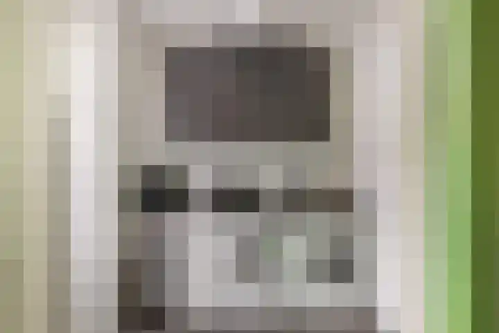 Het Lint 13 Tholen thumbnail 17