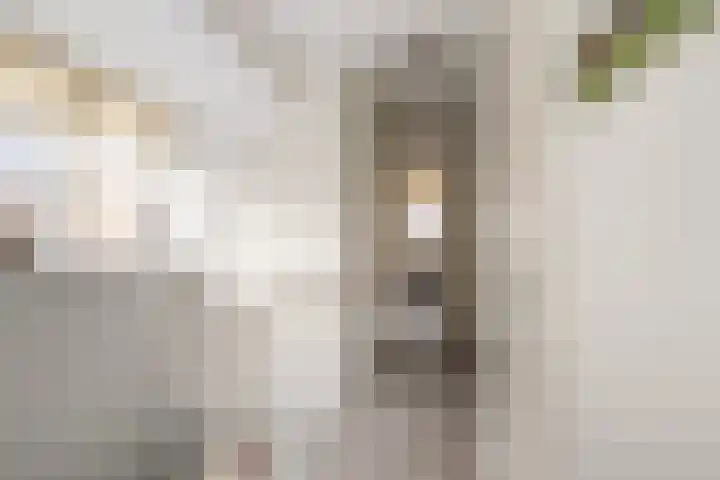 Het Lint 13 Tholen thumbnail 20