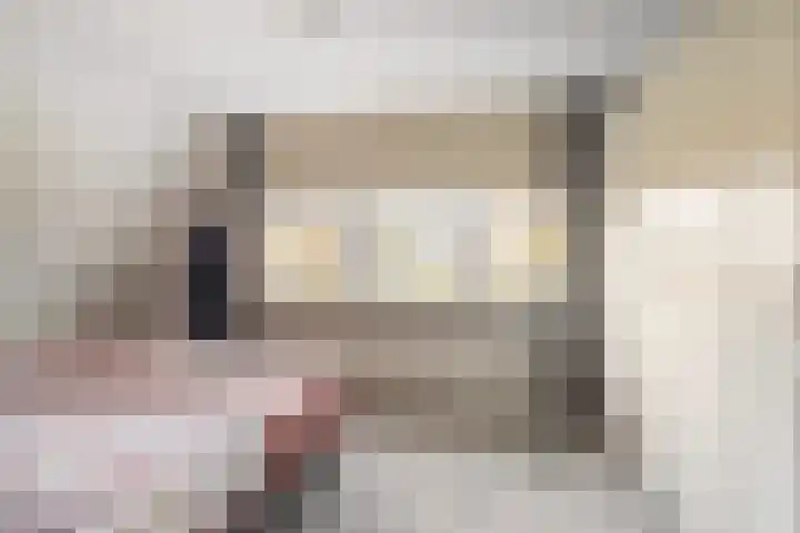 Het Lint 13 Tholen thumbnail 21