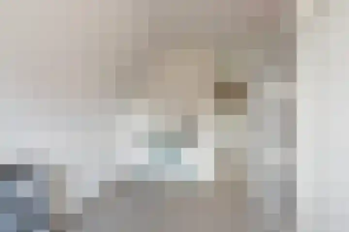 Het Lint 13 Tholen thumbnail 26