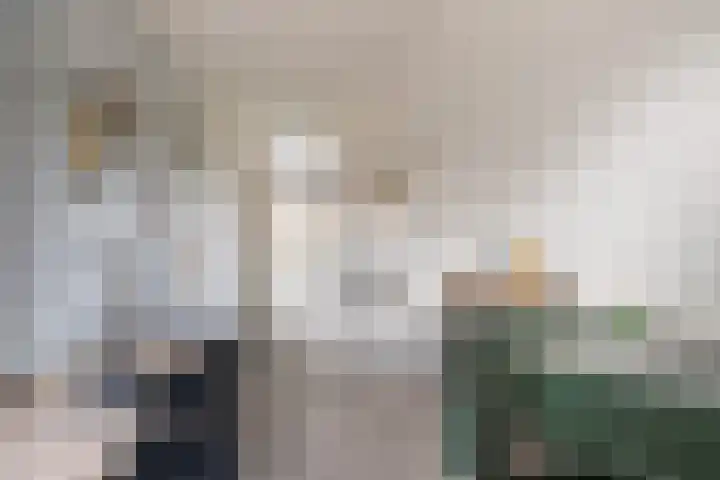 Het Lint 13 Tholen thumbnail 28