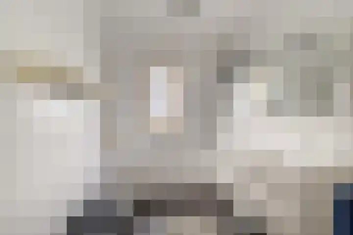 Het Lint 13 Tholen thumbnail 29