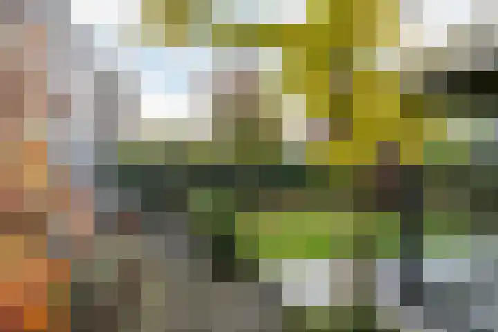 Het Lint 13 Tholen thumbnail 32