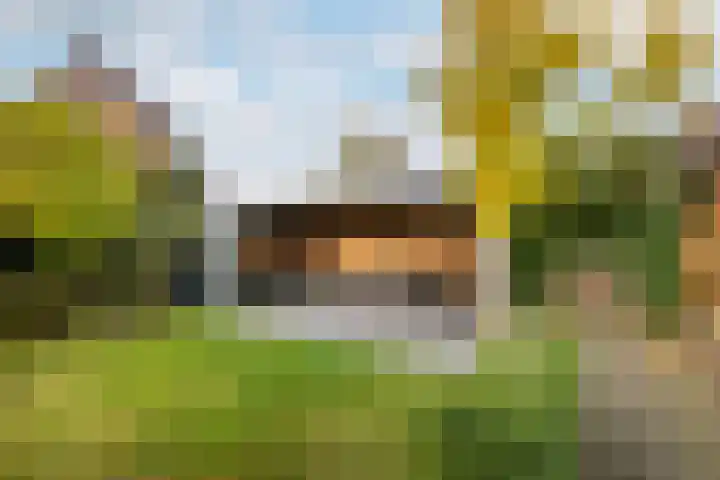 Het Lint 13 Tholen thumbnail 33