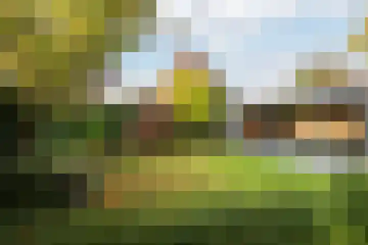 Het Lint 13 Tholen thumbnail 34