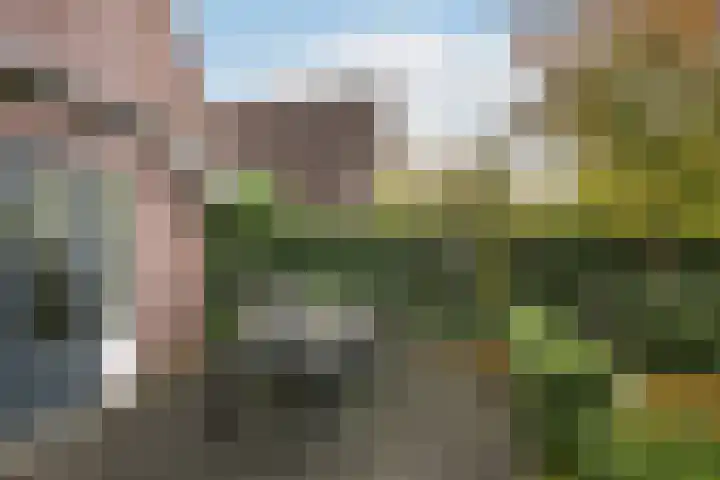 Het Lint 13 Tholen thumbnail 35